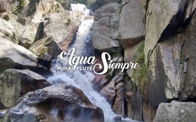 Agua Pura Fluye Siempre • Estrategia